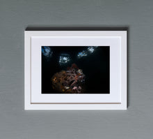 Load image into Gallery viewer, Kraken&#39;s Window
