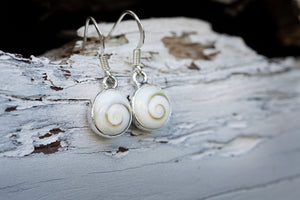 Ningaloo Operculum Shell Earrings